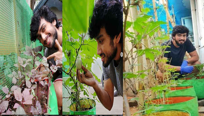  ചീരയും കത്തിരിക്കയുമൊക്കെ കൃഷിചെയ്ത് കണ്ണന്‍; ലോക്ഡൗണില്‍ പച്ചക്കറി കൃഷിയുമായി കാളിദാസ് ജയറാം