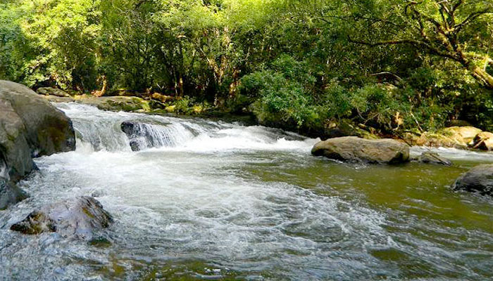 തൊമ്മൻ കുത്ത് യാത്ര