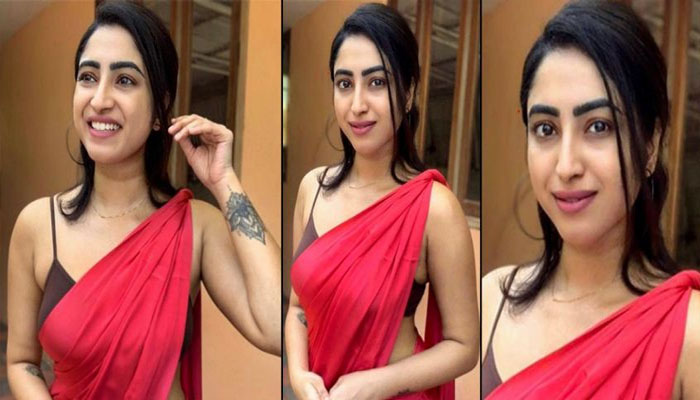 തിരിച്ചടികളിൽ തോറ്റു കൊടുക്കരുത്; തുറന്ന് പറഞ്ഞ്  അമേയ മാത്യു