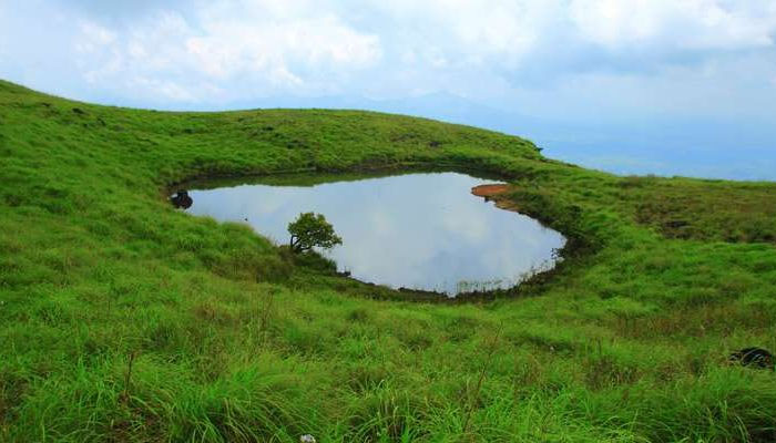 ദൃശ്യഭംഗിയൊരുക്കി ചെമ്പ്ര പീക്ക്