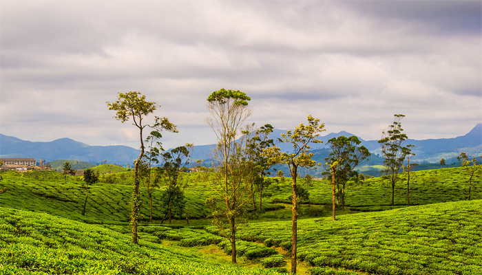 വാല്‍പ്പാറക്ക് ഒരു യാത്ര പോകാം