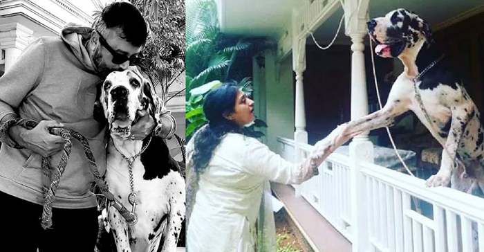 കഴിഞ്ഞ എട്ടുവര്‍ഷമായി താങ്ങും തണലുമായി കൂടെനിന്ന ബെന്‍ ഓര്‍മ്മയായി; പ്രിയപ്പെട്ട വളര്‍ത്തുനായയുടെ വേര്‍പാട് പങ്ക് വച്ച് ജയറാം; ബൈന്നിനൊപ്പമുള്ള നിമിഷങ്ങള്‍ പങ്ക് വച്ച് നടന്‍