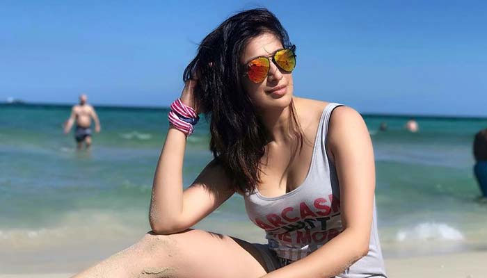 എന്നെ കുറിച്ച് എന്ത് അപവാദവും പറഞ്ഞുനടക്കാം എന്നു വിചാരിക്കരുത്; എന്റെ ജീവിതത്തില്‍ പ്രണയവും പ്രണയ തകര്‍ച്ചയും ഉണ്ടായിട്ടുണ്ട്; ഗര്‍ഭിണിയാണെന്ന വ്യാജ പ്രചരണത്തെക്കുറിച്ച് പ്രതികരിച്ച് ലക്ഷ്മി റായി 