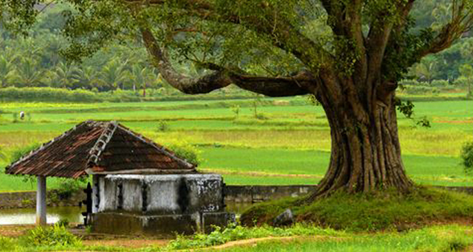 മടക്കയാത്ര -കവിത