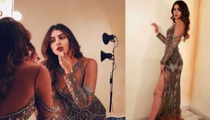 കരൺ ജോഹർ ചിത്രത്തിലൂടെ ശ്രീദേവിയുടെ മകൾ ഖുഷിയും ബോളിവുഡ് ചുവടുവയ്‌പ്പിനൊരുങ്ങുന്നു; ജാൻവിയുടെ സഹോദരിയുടെ വരവ് ന്യൂയോർക്ക് ഫിലിം അക്കാദമിയിലെ പഠനത്തിന് ശേഷം