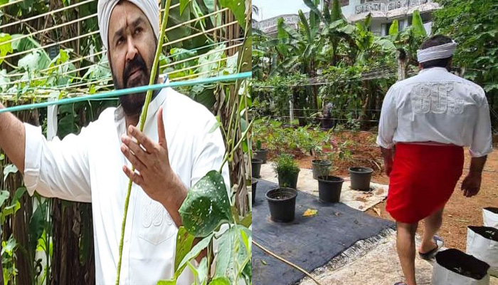  മമ്മൂക്ക സണ്‍ഡ്രോപ് വിളവെടുത്തപ്പോള്‍ ജൈവ പച്ചക്കറികൃഷിയുമായി ലാലേട്ടന്‍; കൃഷിയിടത്തില്‍ നിന്നുളള ചിത്രങ്ങള്‍ പങ്കുവച്ച് താരം