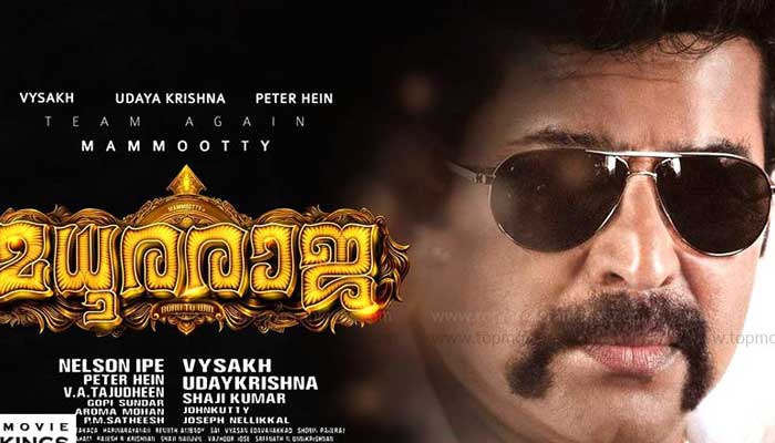 റിലീസിന് മുമ്പേ റെക്കോഡ് നേട്ടവുമായി മധുരരാജ; മമ്മൂട്ടി ചിത്രം സീ നെറ്റ് വർക്ക് സ്വന്തമാക്കിയത് 14 കോടി രൂപയ്ക്ക്