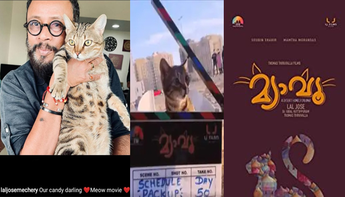 നിരവധി താരങ്ങളുടെ കൂടെ പൂച്ചയും; ഞങ്ങളുടെ കാന്‍ഡി ഡാര്‍ലിംഗ്; ഇൻസ്റ്റാഗ്രാമിൽ പൂച്ചയോടൊപ്പമുള്ള ചിത്രം പങ്കുവെച്ചുകൊണ്ട് ലാല്‍; മ്യാവു സിനിമയുടെ വിശേഷങ്ങളുമായി സംവിധായകൻ ലാൽ ജോസ്