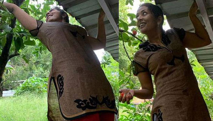 മുടി അമ്മച്ചികെട്ട് കെട്ടി വീട്ടില്‍ നില്‍ക്കുന്നത് സാദാവേഷത്തില്‍! വലിഞ്ഞു കേറി ചാമ്പയ്ക്ക പറിക്കുന്ന നടി നവ്യയുടെ ചിത്രങ്ങള്‍ കണ്ടോ