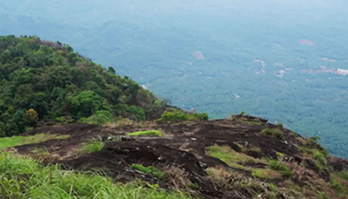 പാലുകാച്ചിമലയിലേക്ക് ഒരു യാത്ര പോകാം 