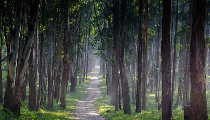  വയനാട്ടിലേക്ക് യാത്ര പോകുന്നുണ്ടോ! അറിയണം ഇതൊക്കെ