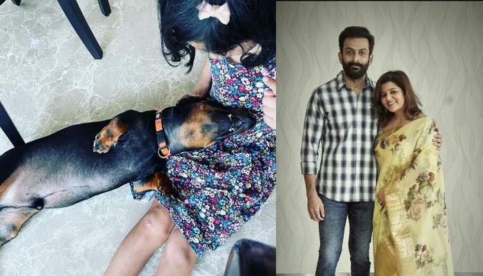പൃഥ്വിയുടെ അല്ലിമോളുടെ  മുഖം ചിത്രത്തിൽ വ്യക്തമല്ല; മകളുടെ മുഖം ഒന്ന് കാണിക്കാമോ എന്ന്  ചോദിച്ച് ആരാധകർ 