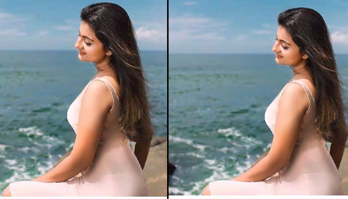 അതീവ ഗ്രാമറസായുള്ള പ്രിയങ്കയുടെ കിടിലന്‍ ബീച്ച് ഫോട്ടോഷൂട്ട്; ഇന്‍സ്റ്റയില്‍ വീണ്ടും ചിത്രം പങ്കുവച്ച് താരം;  ഏറ്റെടുത്ത് ആരാധകരും 