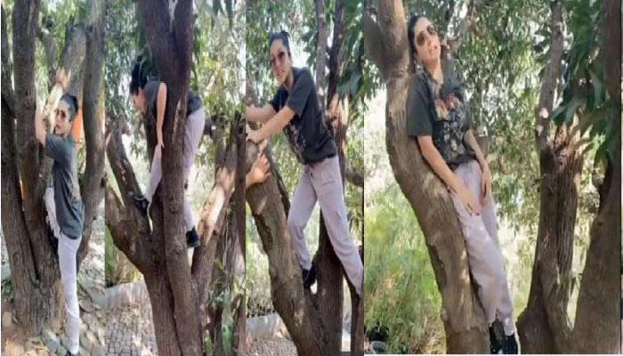 നീ എന്താണ് ചെയ്യുന്നത് ? മരത്തിനടുത്തേക്ക് നടന്ന സണ്ണിക്ക് നേരെ ഉയര്‍ന്ന ആദ്യ ചോദ്യമാണിത് ;  തരംഗം സ്യഷ്ടിച്ച് വീഡിയോ