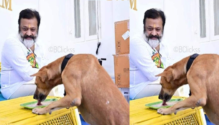 ചായകുടിച്ച ശേഷം മുഖത്തേക്ക് നന്ദിയോടെ നോക്കി ഷാഡോ കാൽച്ചുവട്ടിൽ കിടന്നു; വൈറലായി കുറിപ്പ് 