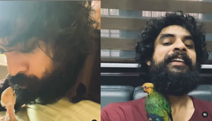  ടൊവിനോയുടെ താടി തിന്നും ജിമ്മില്‍ കളിച്ചും മാത്തന്‍; ടൊവിനോയുടെ പഞ്ചവര്‍ണ്ണ തത്ത