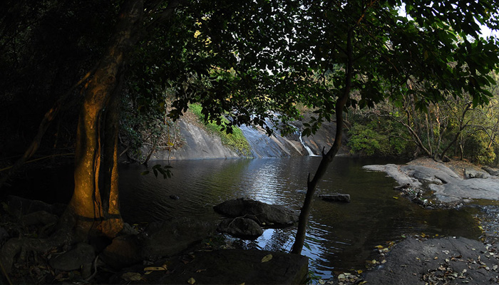  പാലക്കാട് ധോണിയിലേക്ക് ഒരു യാത്ര