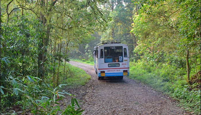 ഗവിയിലേക്ക് കുടുംബസമേതം