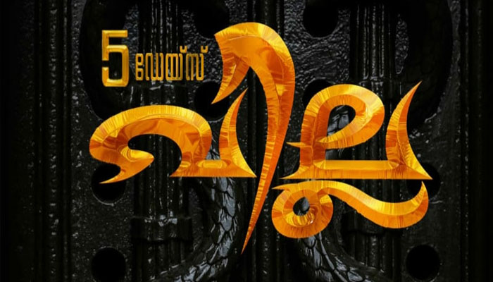 പി മുരളീമോഹന്‍ കഥയെഴുതി സംവിധാനം ചെയ്യുന്ന പ്രഥമ ചിത്രം ഫൈവ് ഡെയ്സ് വില്ല; ഏപ്രില്‍ 15ന് ചിത്രീകരണം ആരംഭിക്കും